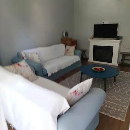 Mavi Panjurlu Ev Apartment