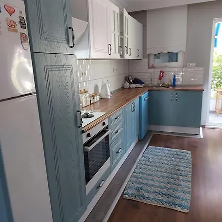 Mavi Panjurlu Ev Burhaniye