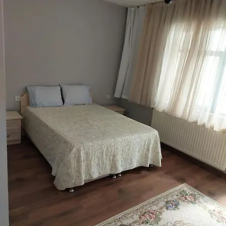 Mavi Panjurlu Ev